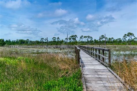 Bon Secour National Wildlife Refuge Stock Photos - Free & Royalty-Free Stock Photos from Dreamstime