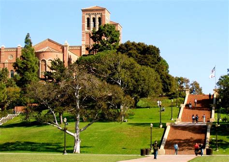 UCLA Anderson School of Management 2020 Fall Intake Application ...