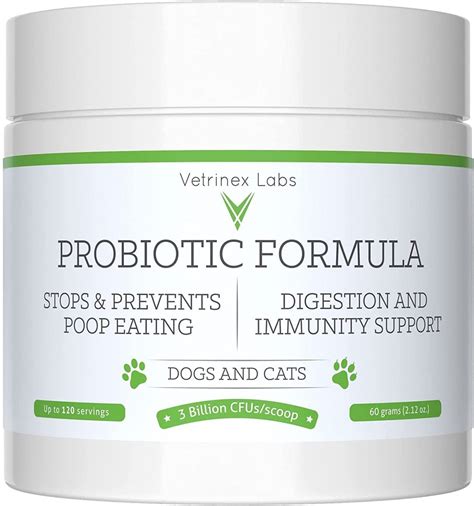 10 Best Probiotics for Dogs | Great Pet Care