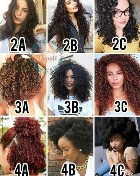 Hair type guide | Natural hair types, Hair type chart, Curly hair types