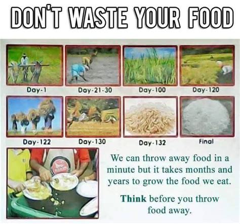 Dont Waste Food ! | Don't waste food, Food waste poster, Food wastage