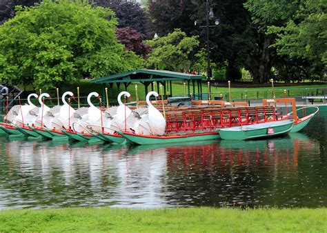 Swan Boats • Boston - Inbound Destinations