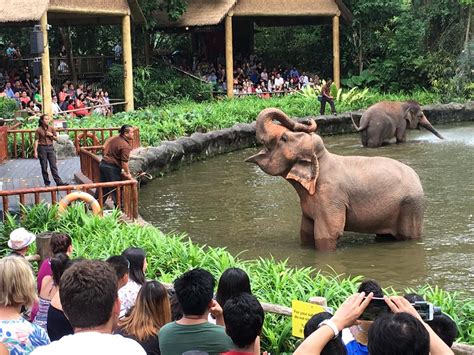 Singapore Zoo stops making elephants perform in new format for show