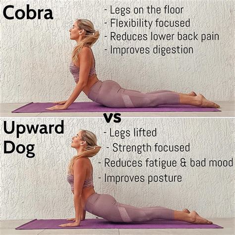 Cobra vs Upward Dog!! Which do you prefer?! 💞 🐍 🐶 👉🏼 Cobra Pose: 🐍 Legs ...