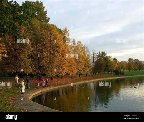 city park at autumn at evening Stock Photo - Alamy