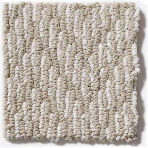 Carpet & Carpeting: Berber, Texture & more