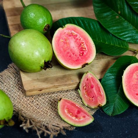 Tropical Pink Guava Trees for Sale – FastGrowingTrees.com