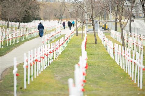 Premium Photo | Field of crosses to mark Canada's remembrance day