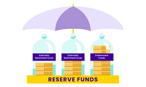 Nonprofit Reserve Funds: Guide to Financial Stability | Enkel