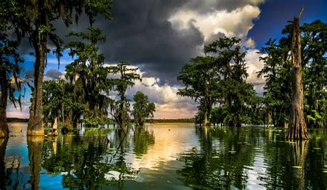 Photograph BAYOU LOUISIANE by Chantal Cecchetti on 500px | Louisiana bayou, Bayou, Nature