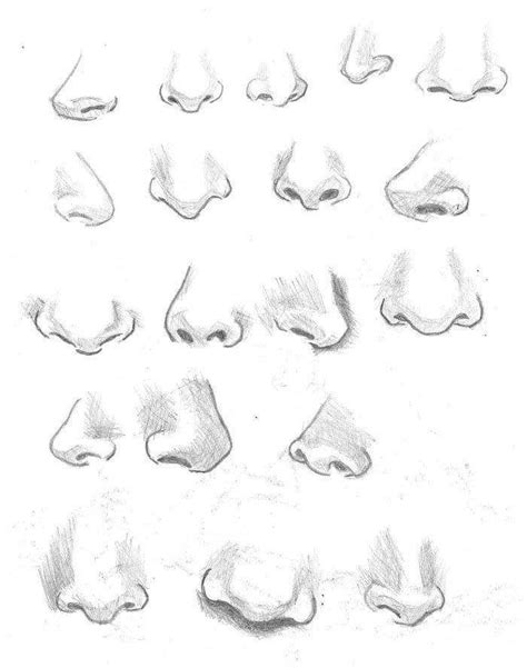 Pin by Daria Bernabei on Drawing tips | Nose drawing, Drawing people, Face drawing