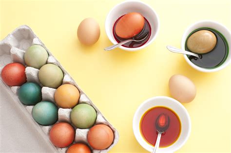 Dyeing boiled eggs for a festive Easter Creative Commons Stock Image