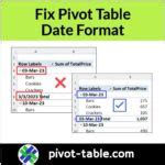 Fix Date Format in Pivot Table Subtotals – Excel Pivot Tables