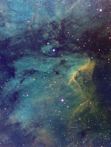 IC5070 - Pelican Nebula (Hubble Palette) - Sara McAllister Photography