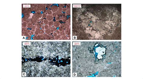 Diagenesis types and characteristics of the Longwangmiao Formation in ...