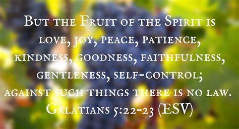 Defining the Fruit of the Spirit - philressler.com