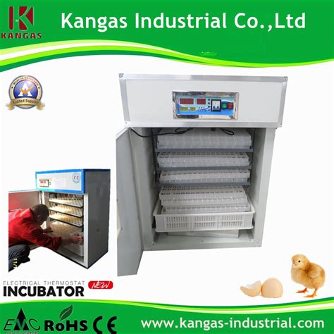 Full Automatic Industrial Small Parrot Egg Incubator Hatcher - China Parrot Egg Incubator ...