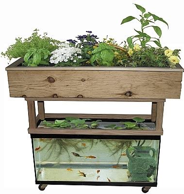 Building a Grow Bed for Your Aquaponic Garden — Better Farm