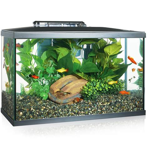Tetra Open Glass 10 Gallon Rectangular Fish Aquarium Tank | ydy.akdeniz ...