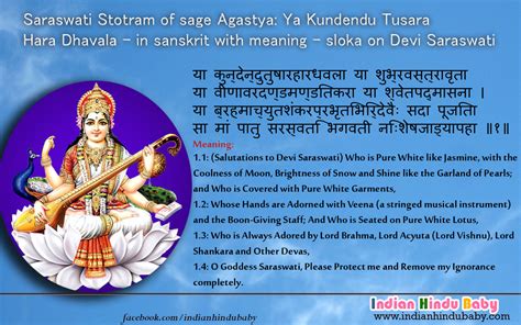 Importance of Saraswati Puja for students – Indian hindu baby