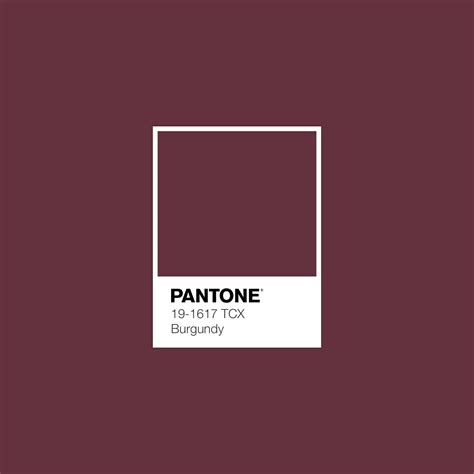 Pantone 19 1617 Tpx – Flagler Productions