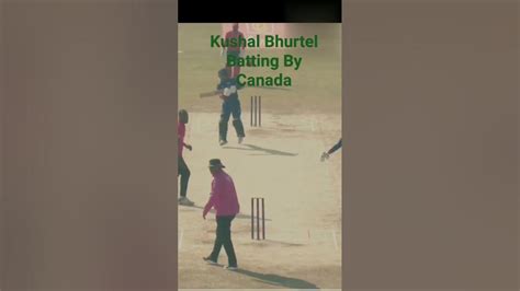 Kushal Bhurtel Batting By Canada #Cricket#Cricket lover# #KushalBhurtel#CricketFan#Batting# # ...