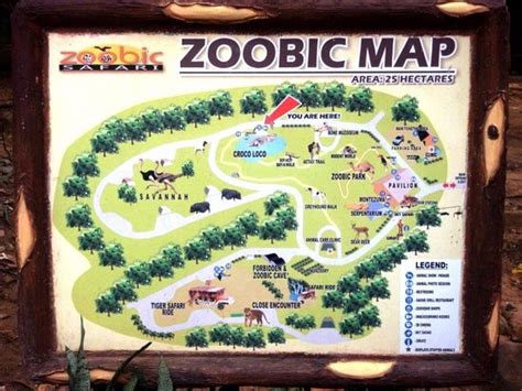 Poor Service! Money Making Attraction! - Zoobic Safari, Subic Bay ...