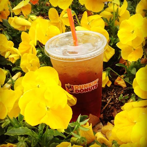 DDid you know Dunkin' Iced Tea is freshly brewed? Mister Donuts, Dunkin Donuts, Iced Tea, Moscow ...