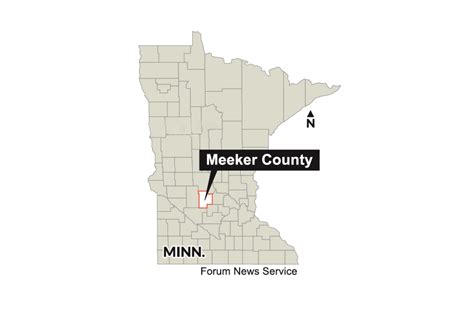 Minnesota confirms avian flu in Meeker County commercial turkey flock - West Central Tribune ...