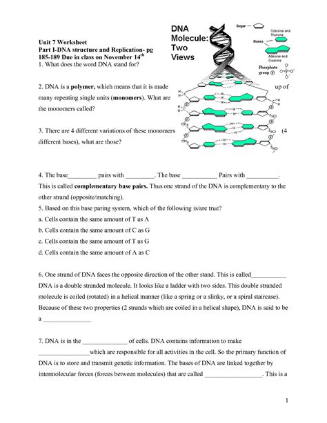 17 Best Images of DNA Worksheet Printable - DNA RNA Structure Worksheet, DNA Coloring Page for ...