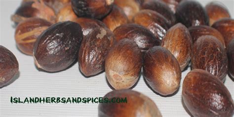 Jamaican Nutmeg Spice | Island Herbs & Spices