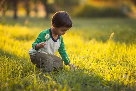 "Cute Asian Boy Picking Flowers" by Stocksy Contributor "Lumina" - Stocksy