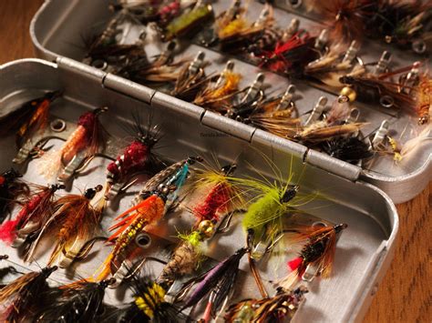 Types of Fishing Flies: A Beginner's Guide