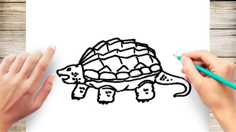 How to Draw a Snapping Turtle Step by Step - YouTube