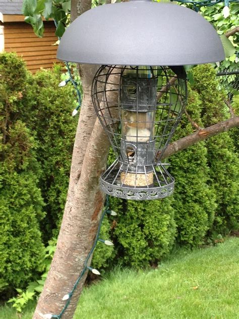 Squirrel Proof Bird Feeder DIY