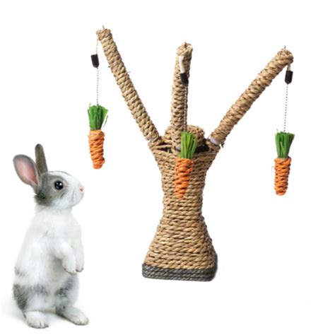 Hanging Treat Toy for Bunnies & Rabbits | Bunny supplies, Diy bunny ...