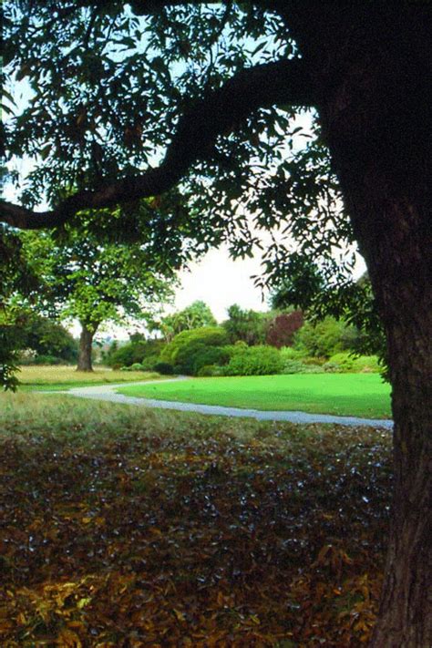 Dunedin Botanic Garden