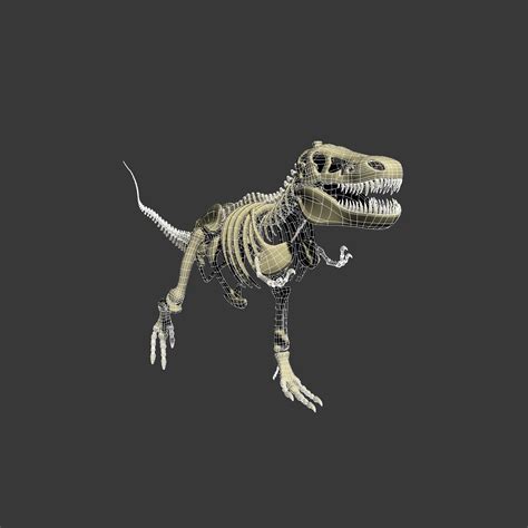 t-rex skeleton 3d model