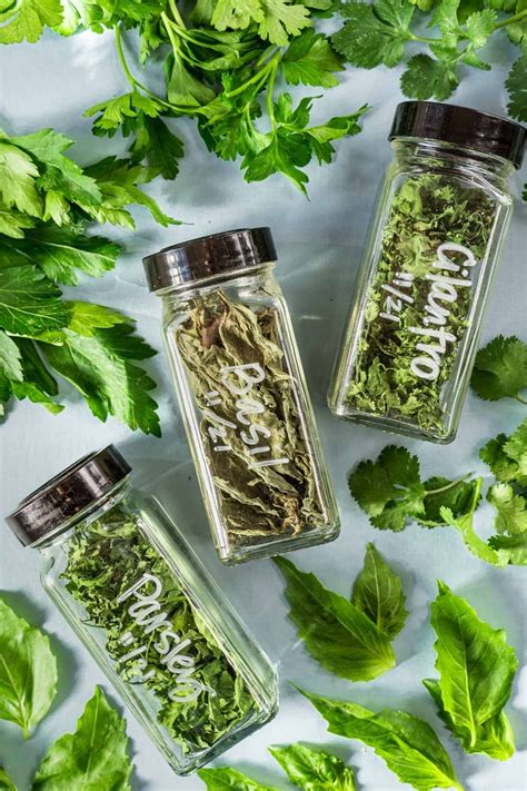 How to Dry Herbs - Fresh Off The Grid