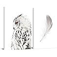Amazon.com: sechars White Wall Art Canvas Grey Owl Pictures Feather Paintings Modern Bedromm ...