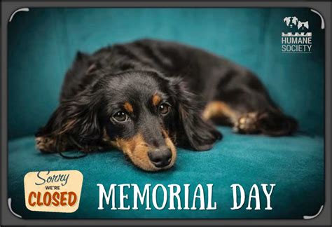 Holiday Closure: Memorial Day - Idaho Humane Society