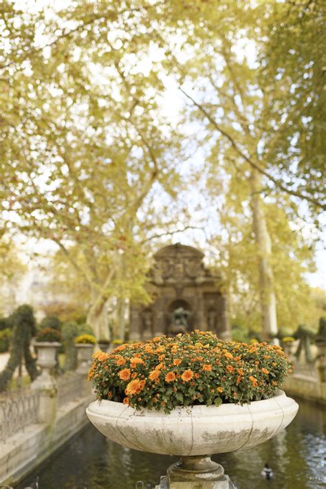 3 of the best places for autumn color in paris — Parisian Moments