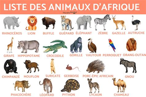 ANIMAUX D'AFRIQUE - LISTE, NOMS et PHOTOS + de 80 EXEMPLES