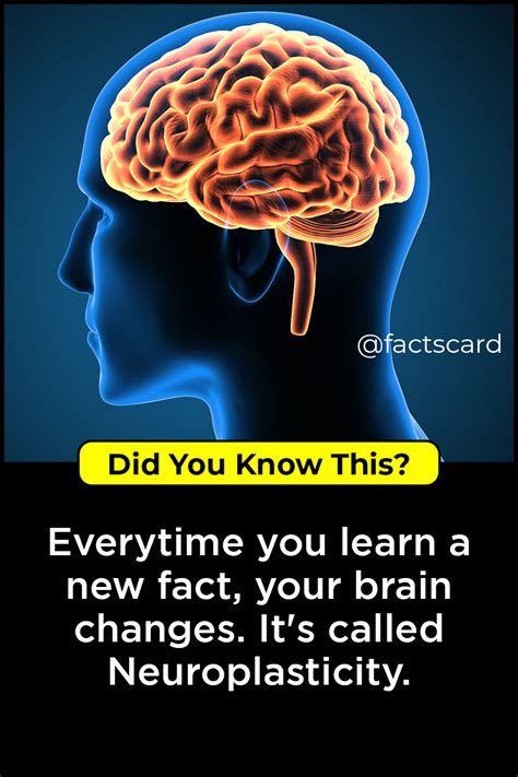 Wow Facts, Wtf Fun Facts, Random Facts, Psychology Books, Psychology ...