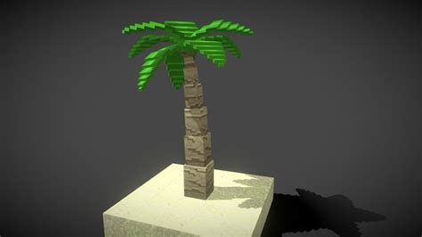 Coconut-tree 3D models - Sketchfab