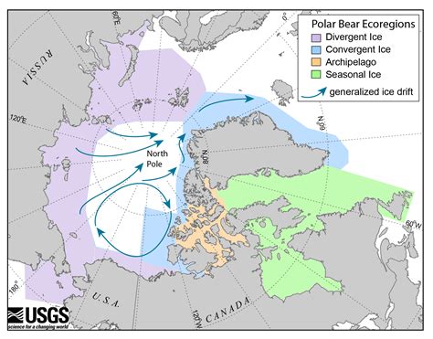 Study: Climate Change Is A Chief Threat to Polar Bears - Alaska Public ...