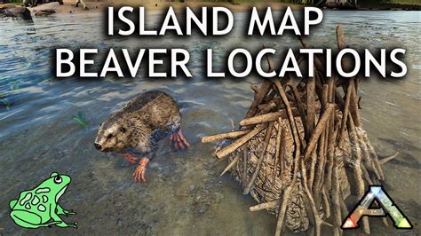 Beaver Dam locations on the Island Map: Ark Survival Evolved Castoroides UPDATE - YouTube