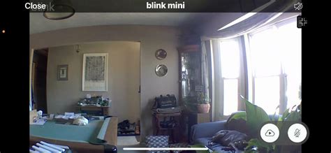 Blink Mini Review | PCMag