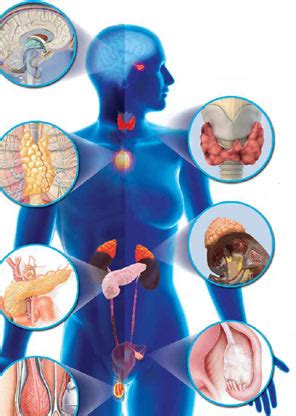 Endocrinología - Salud en línea