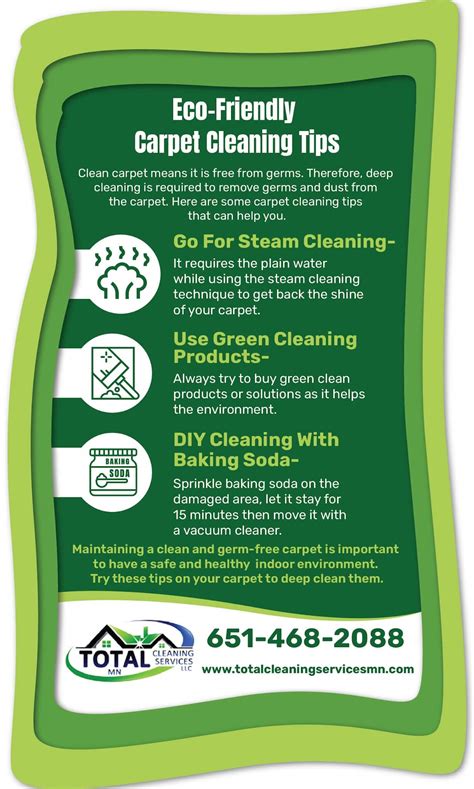 Top Eco-Friendly Carpet Cleaning Tips Of 2020 With Infographic – Total ...